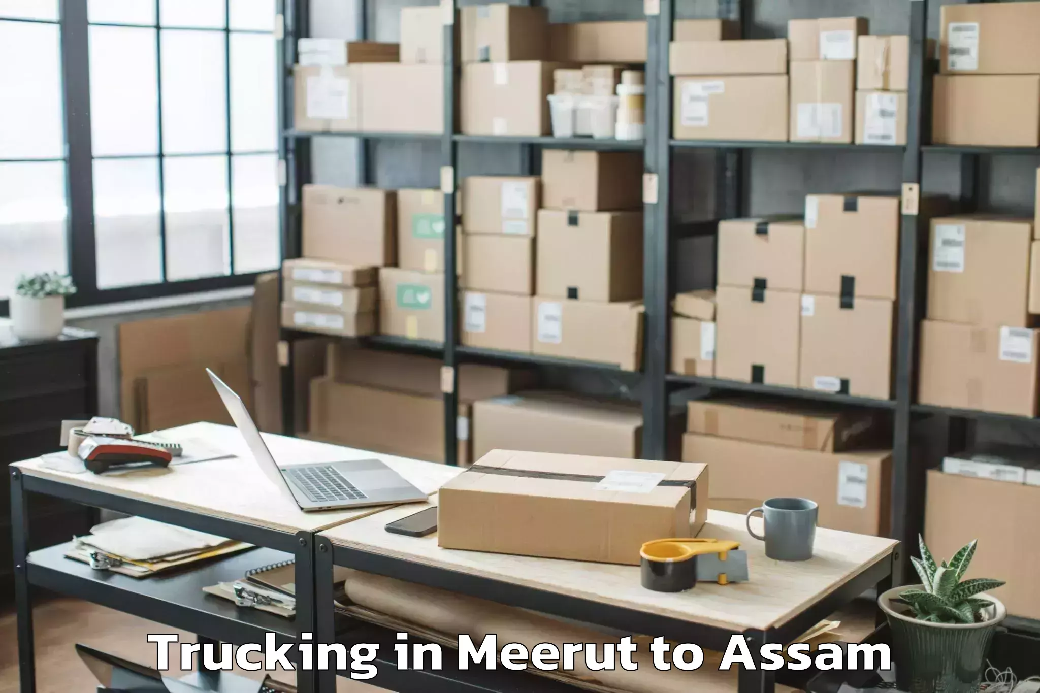 Meerut to Dhekiajuli Trucking Booking